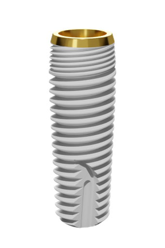P1D (New version) main image