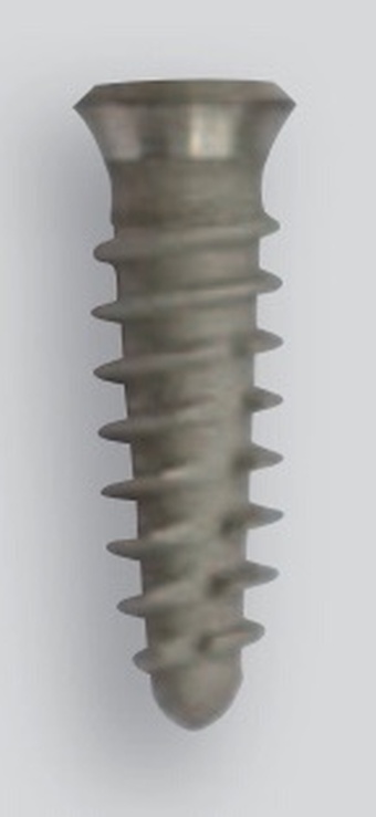 AU/EI main image