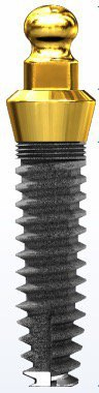 Immediate Stabilization (ISI) O-Ball (OB) main image