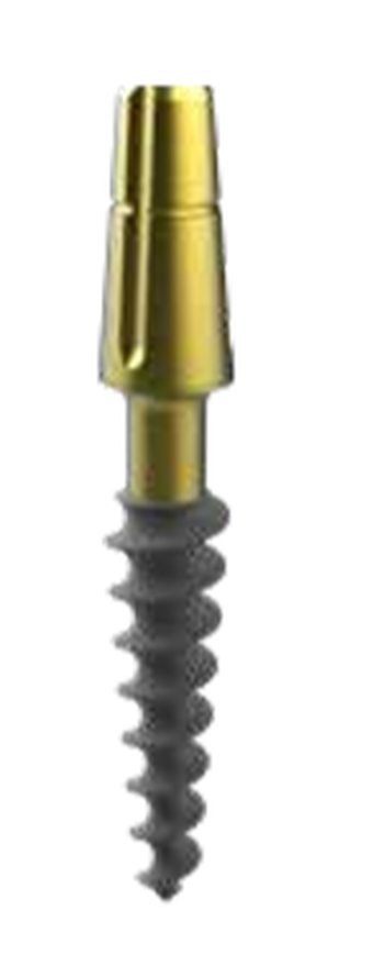 Compressive implants main image