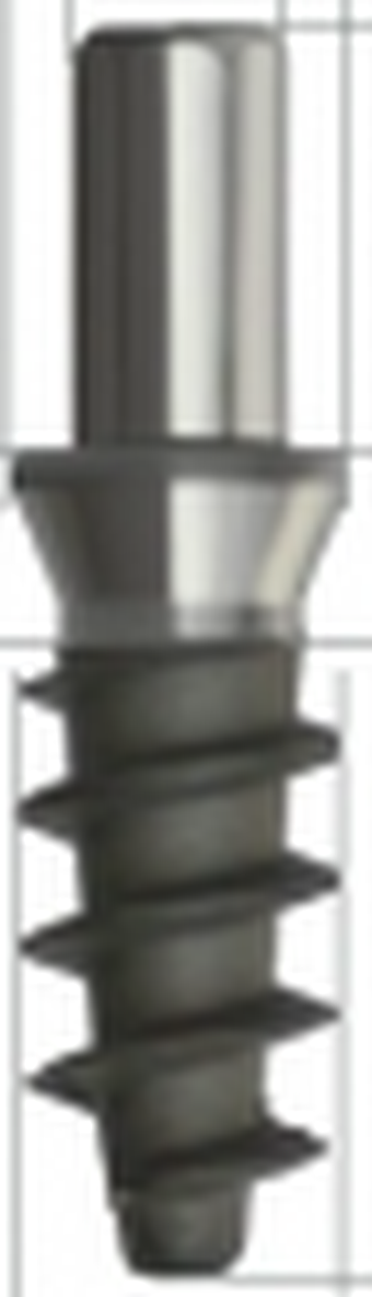 VIP main image