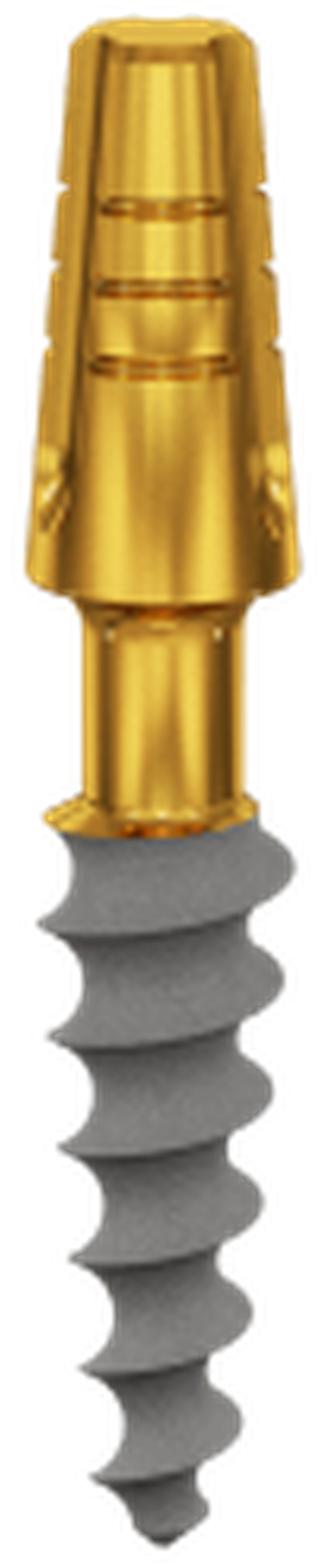 Compressive main image