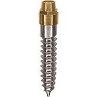 ERA Mini Implant main image