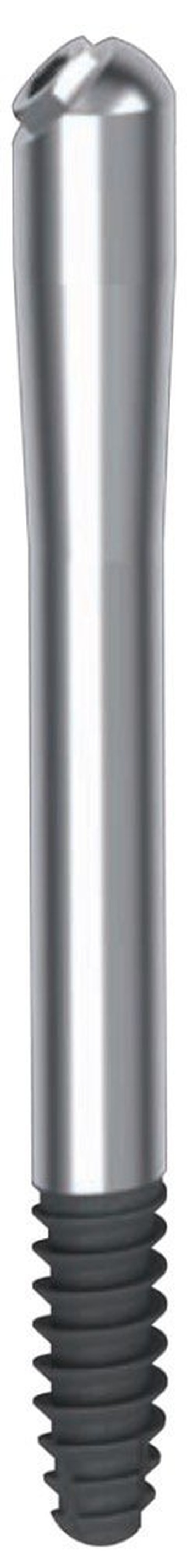 Zigomatico JP main image