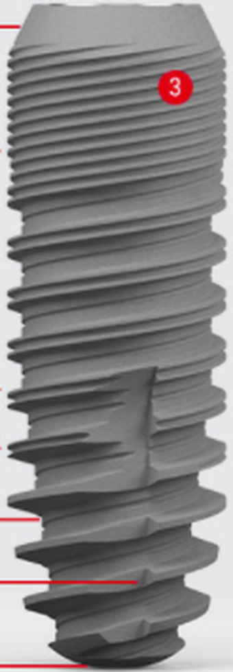 Esthetic Line main image