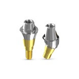 Screw retained restoration