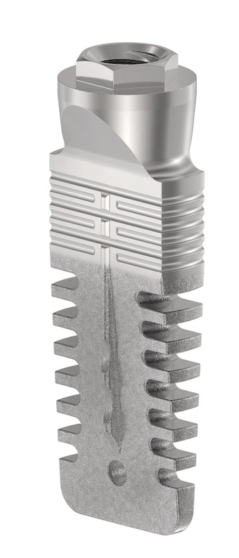 Rex TL 1.8 main image