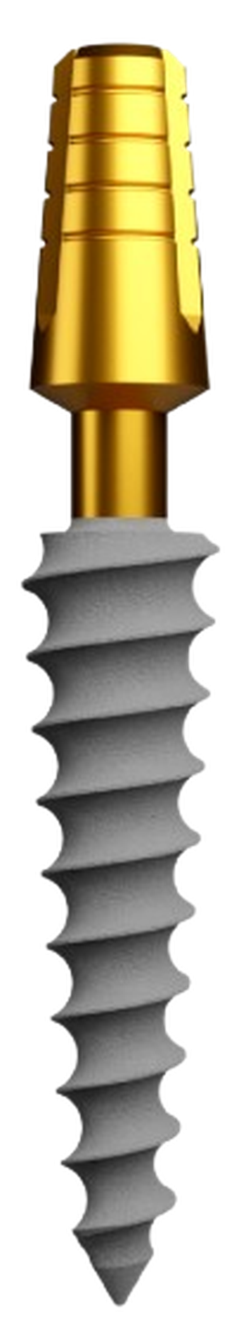 Compressive main image