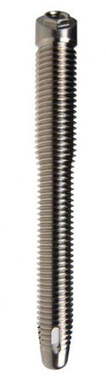 Brane-Z Zygomatic Screws main image