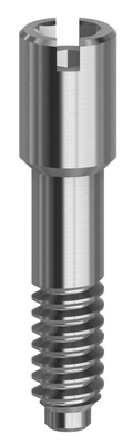 Abutment screw