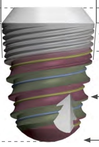 Naturall+ Short main image