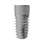 Dentium Internal Hex image 1