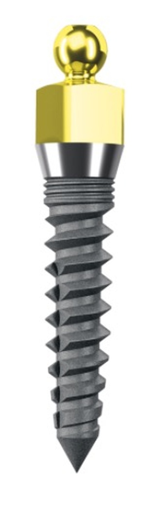TZP main image
