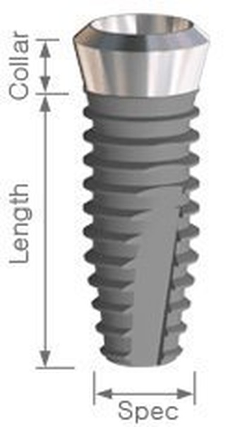 Apolonia Internal Tapered Type main image