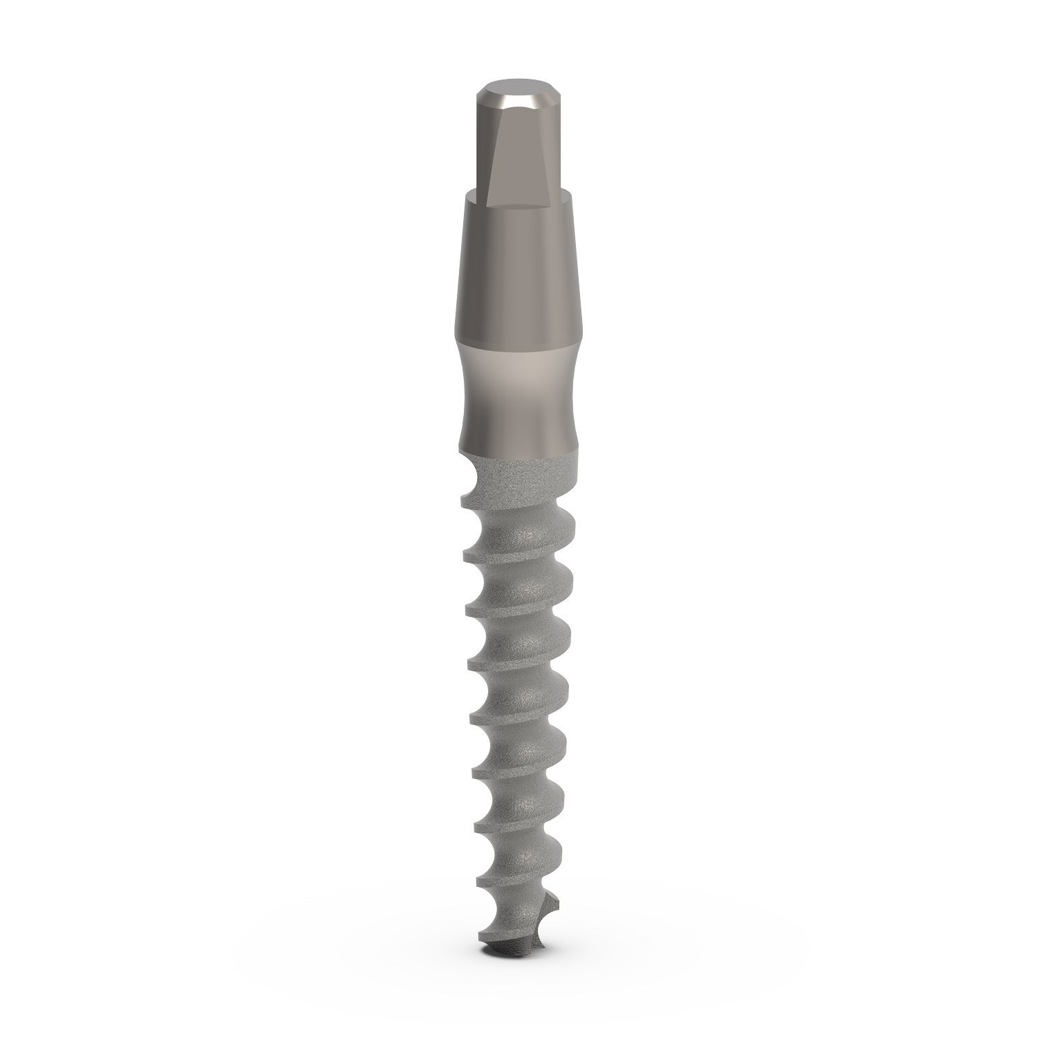 Slim main image