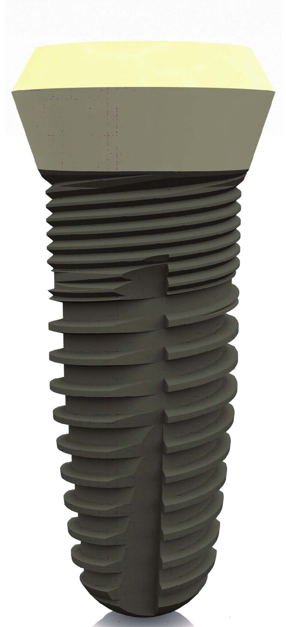 Smilea Conic Internal main image