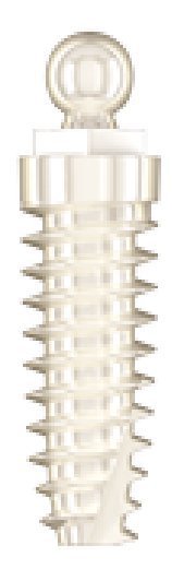 Denti Circonium (DC) main image