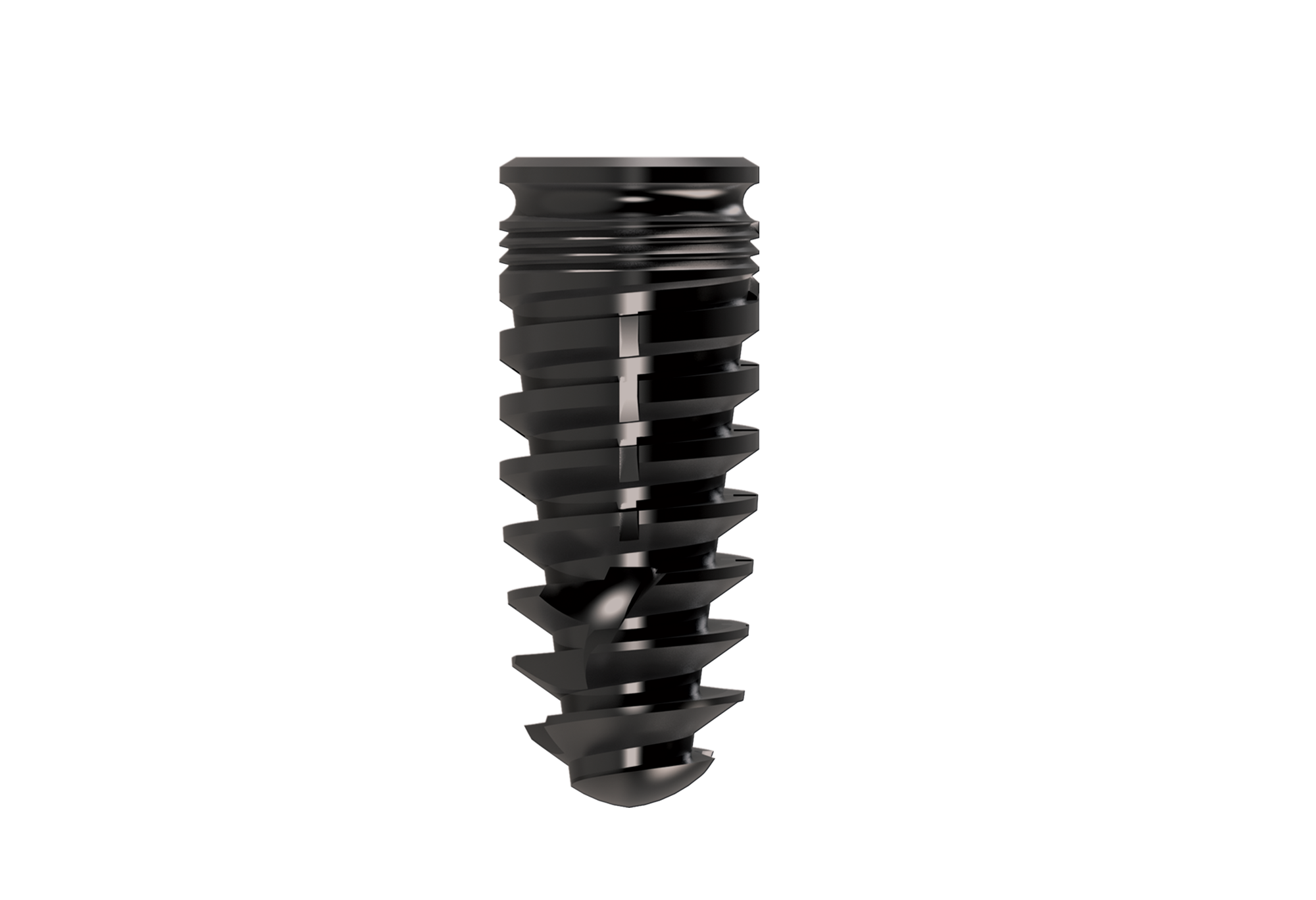 Bio-xellent main image