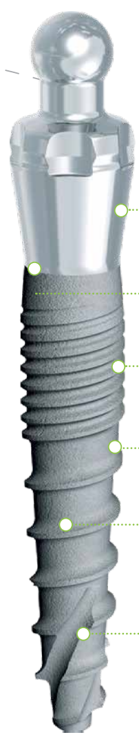 CITO Mini main image