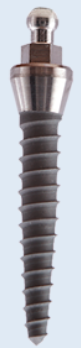 Cone Implant Mini main image