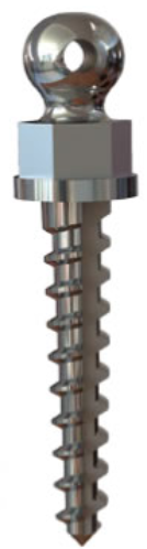 Orthodontic implant main image