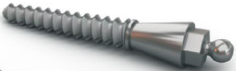Implant O-Ring main image