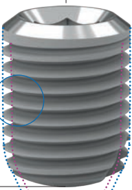Zinic Shorty main image
