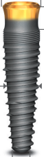 Gold&Blue Conical Long Neck main image
