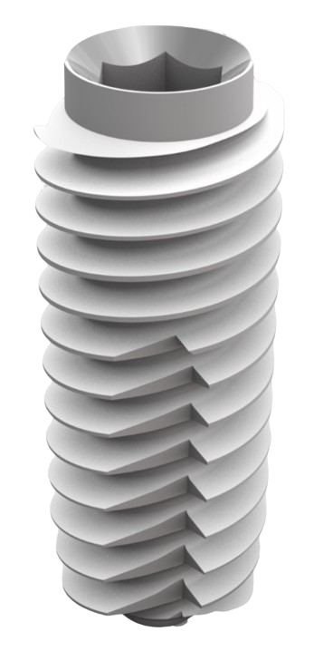 D4 TYPE BONE (D4H) main image