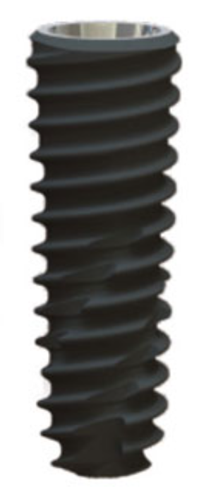BV main image