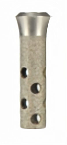Straumann Hollow Cylinder Dental Implant | SpotImplant