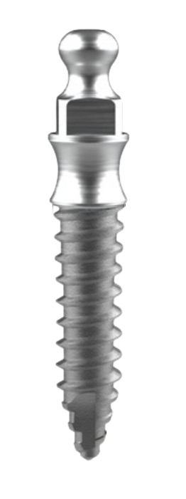 MR Denture Type main image