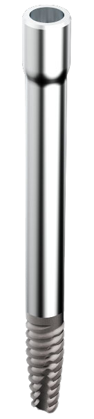 Zygomatic main image