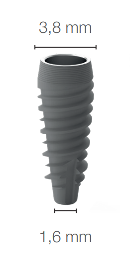 CONO-IN main image