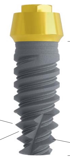 Vertical Neck Immediate main image