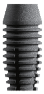 FF main image