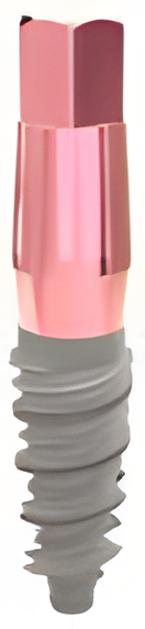 Favourite Active main image