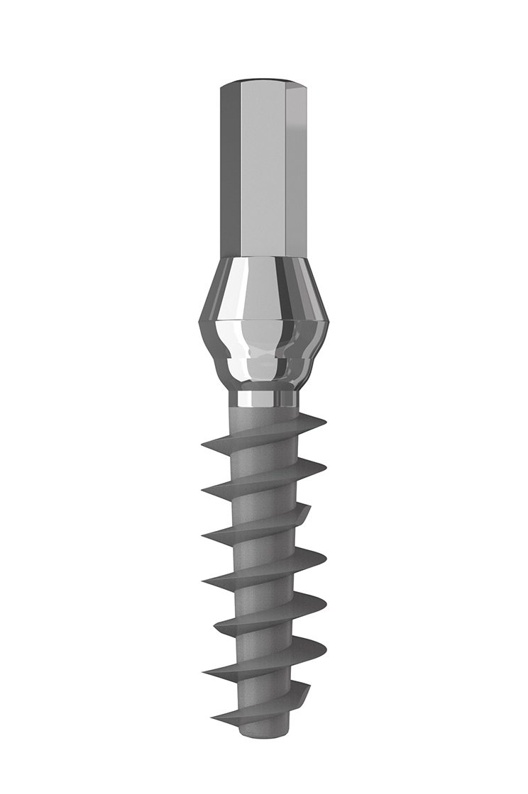 MPA main image