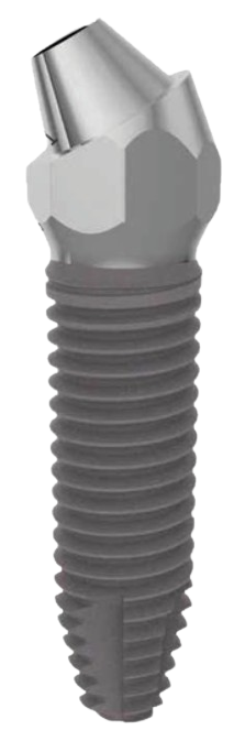 Bio Art Uno (angled abutment) main image