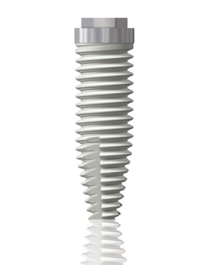 SPEEDHEX main image