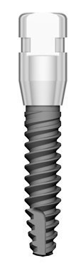 T2 main image