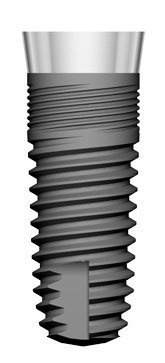 T3 main image