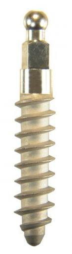 Mini Implants main image